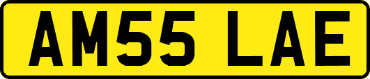 AM55LAE