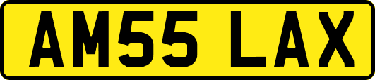 AM55LAX