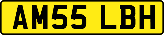 AM55LBH