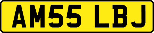 AM55LBJ