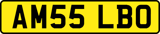 AM55LBO