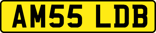 AM55LDB