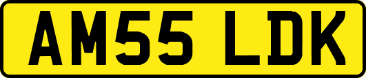 AM55LDK