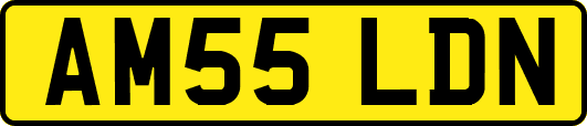 AM55LDN
