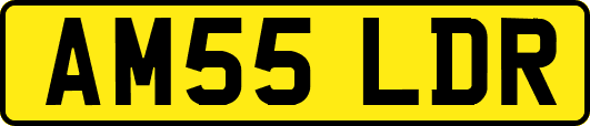 AM55LDR