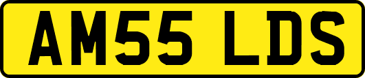 AM55LDS