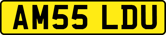 AM55LDU