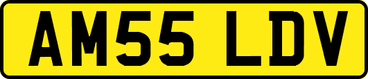 AM55LDV