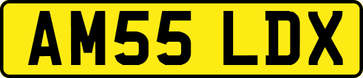 AM55LDX
