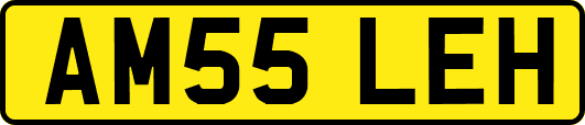 AM55LEH