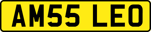 AM55LEO
