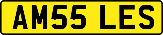 AM55LES