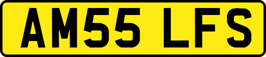 AM55LFS
