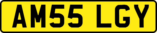 AM55LGY