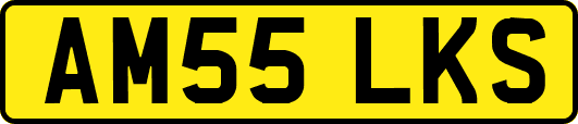 AM55LKS