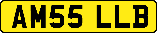AM55LLB