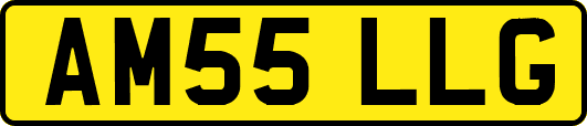 AM55LLG