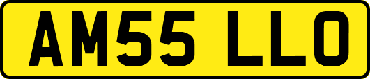 AM55LLO