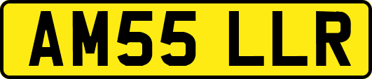 AM55LLR