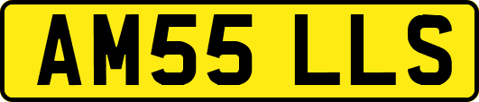 AM55LLS