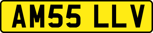 AM55LLV