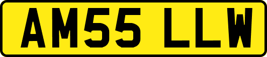 AM55LLW
