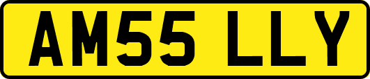 AM55LLY
