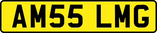 AM55LMG