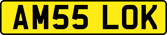 AM55LOK
