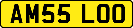 AM55LOO