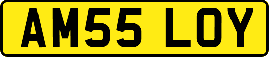 AM55LOY