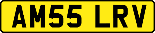 AM55LRV
