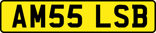 AM55LSB