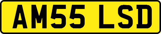 AM55LSD