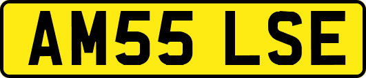 AM55LSE