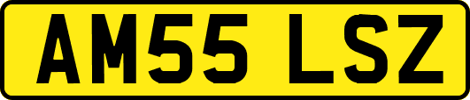 AM55LSZ
