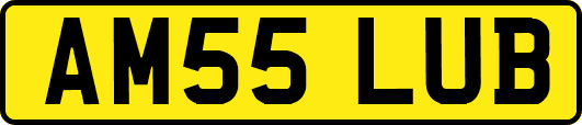 AM55LUB