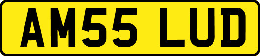 AM55LUD
