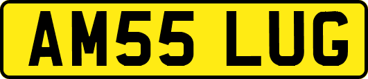 AM55LUG