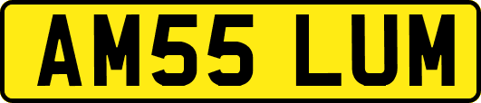 AM55LUM
