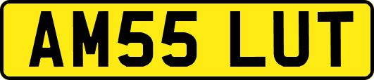 AM55LUT