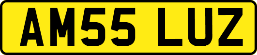AM55LUZ