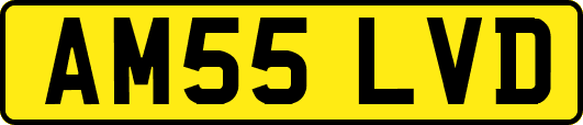 AM55LVD