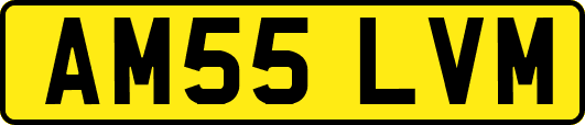 AM55LVM