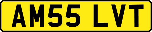 AM55LVT