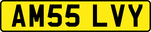 AM55LVY