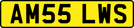 AM55LWS