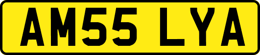 AM55LYA