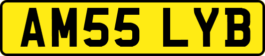 AM55LYB