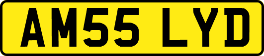 AM55LYD